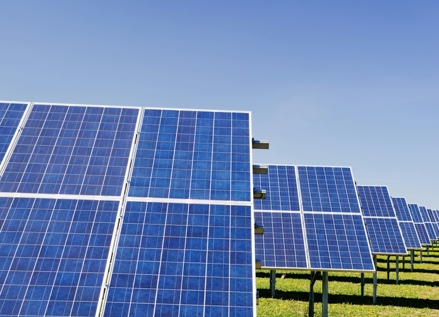Rows of solar panels